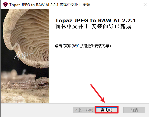 Topaz JPEG to RAW AI 2.2.1模拟RAW照片编辑