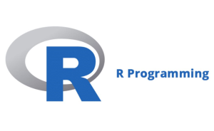 R语言 4.4.1安装包免费下载和环境变量配置教程