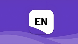 EndNote 2025中英双语破解版安装教程及下载