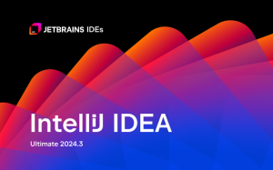 ​IntelliJ IDEA 2024.3安装包免费下载安装教程